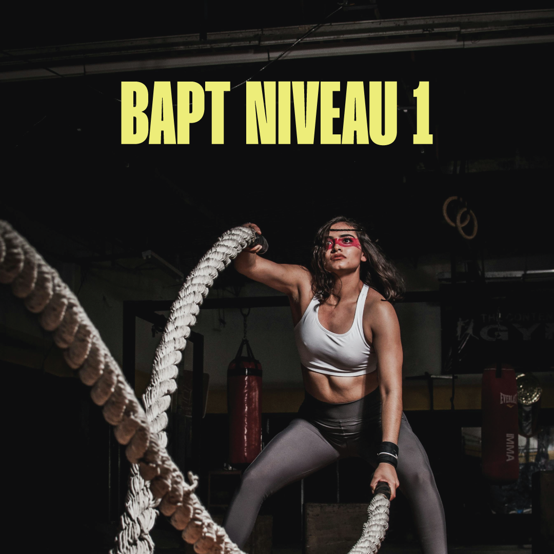 Niveau 1 – De Basiscursus